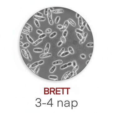Labormérés Brett