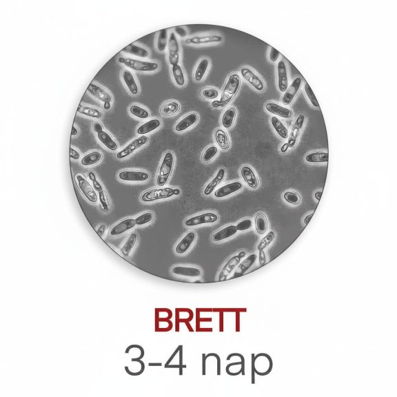 Labormérés Brett Labormérés Brett