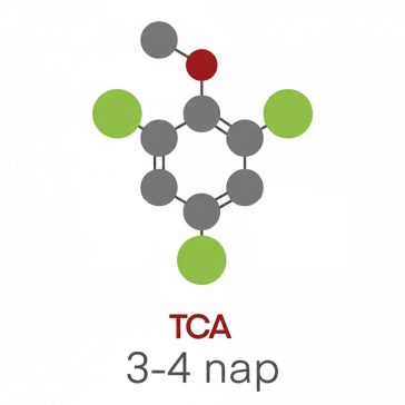 Labormérés TCA