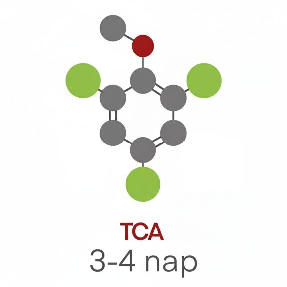 Labormérés TCA Labormérés TCA