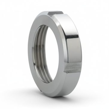 Hollander anya DN 20