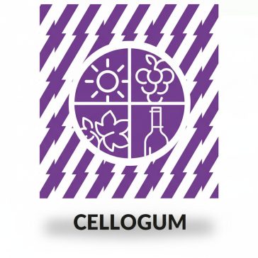 Cellogum (CMC) borkőstabilizáló - 1 kg
