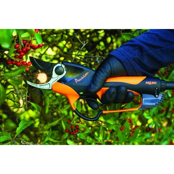Pellenc Prunion 250 elektromos metszőolló - INGYENES KISZÁLLÍTÁSSAL! Pellenc Prunion 250 elektromos metszőolló - INGYENES KISZÁLLÍTÁSSAL!