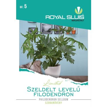   Vetőmag Royal Prémium 5. kategória Levél Dísznövény/ Szeldelt levelű filodendron-Philodendron Selloum