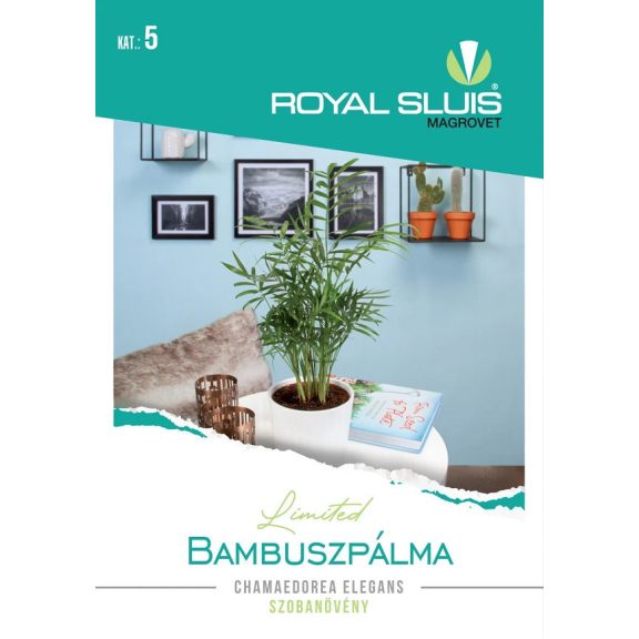 Vetőmag Royal Prémium 5.kategória Levél dísznöv./ Bambuszpálma-Chamaedorea Elegans Vetőmag Royal Prémium 5.kategória Levél dísznöv./ Bambuszpálma-Chamaedorea Elegans