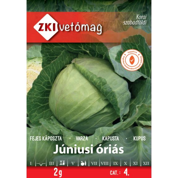 Vetőmag ZKI 4. kategória Fejes káposzta/ Júniusi Óriás Vetőmag ZKI 4. kategória Fejes káposzta/ Júniusi Óriás