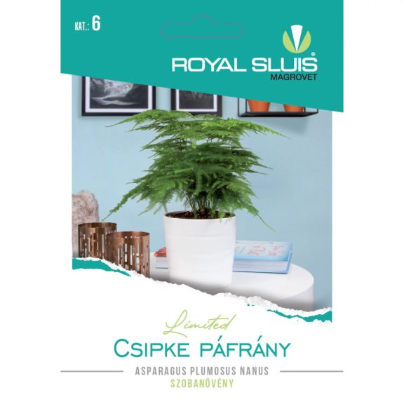 Vetőmag Royal Prémium 6. kategória Levél dísznövény/ Csipke Páfrány-Asparagus Plomosus Nanus Vetőmag Royal Prémium 6. kategória Levél dísznövény/ Csipke Páfrány-Asparagus Plomosus Nanus