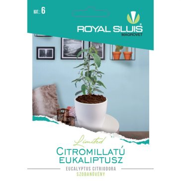   Vetőmag Royal Prémium 6. kategória Levél dísznövény/ Citromillatú Eukaliptusz-Eucaliptus Citreiodora