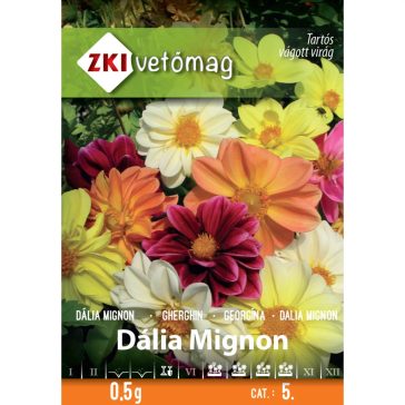 Vetőmag ZKI 5. kategória Dália mignon