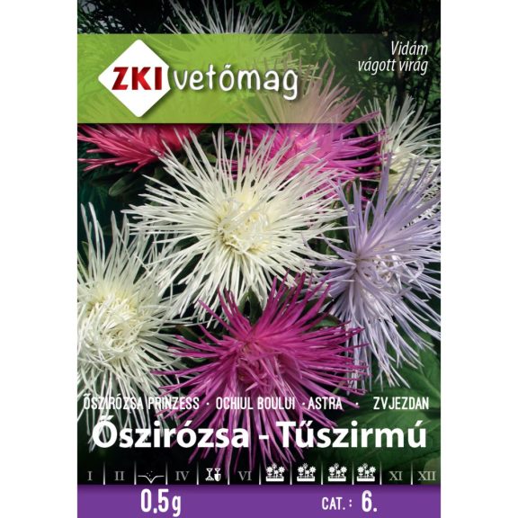 Vetőmag ZKI 6. kategória Őszirózsa- tűszirmú Vetőmag ZKI 6. kategória Őszirózsa- tűszirmú