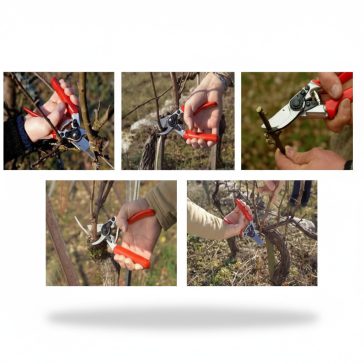FELCO  6 metszőolló+ 601 fűrész 