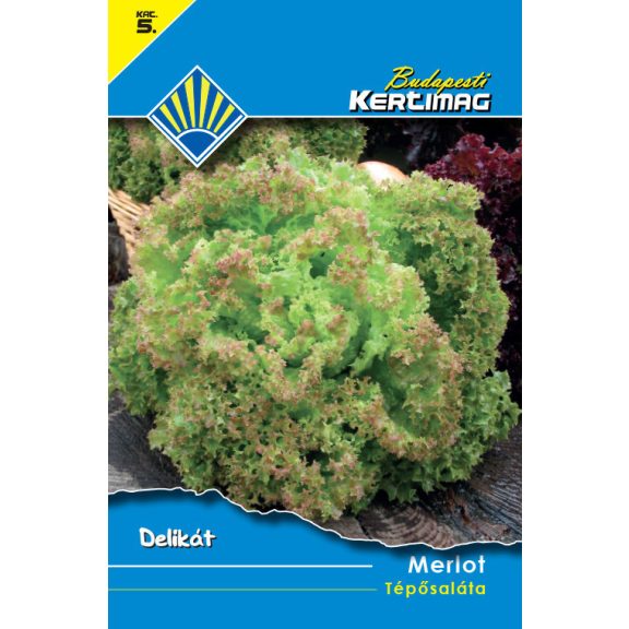 Vetőmag Budapesti Kertimag 5. kategória - Merlot Téposaláta Vetőmag Budapesti Kertimag 5. kategória - Merlot Téposaláta