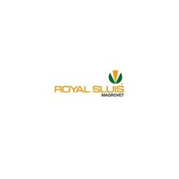 Royal Sluis